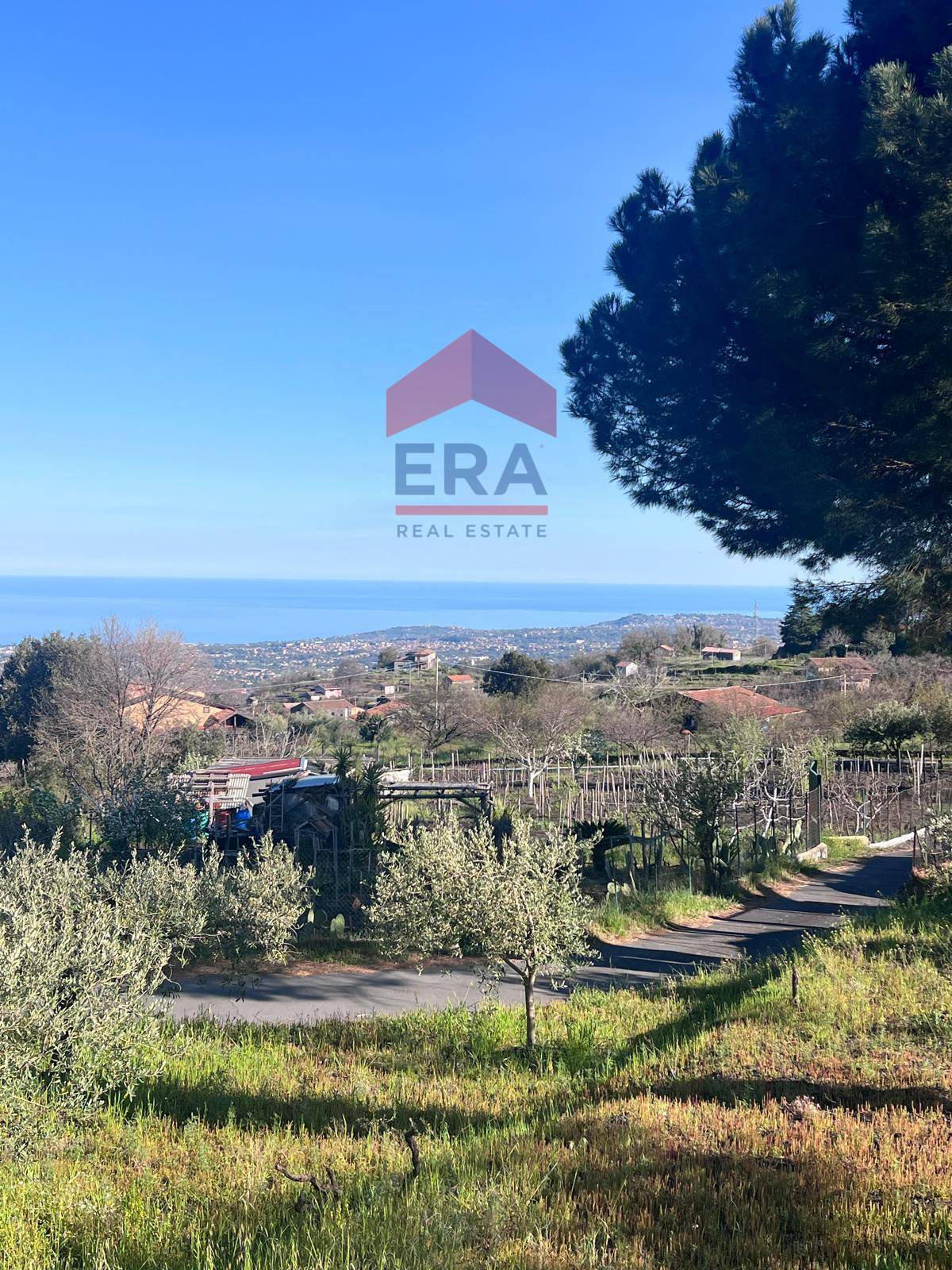 Terreno in vendita a Trecastagni