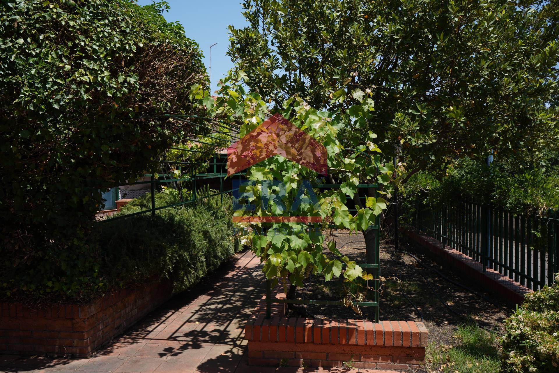 Villa singola in vendita a Pedara