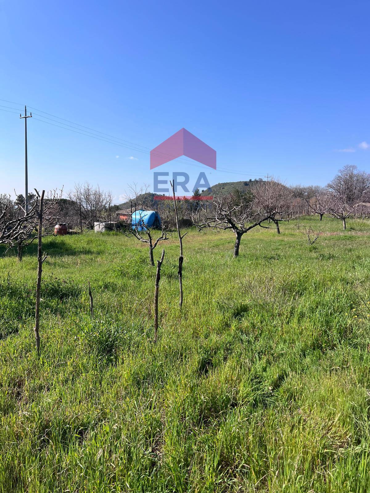 Terreno in vendita a Trecastagni