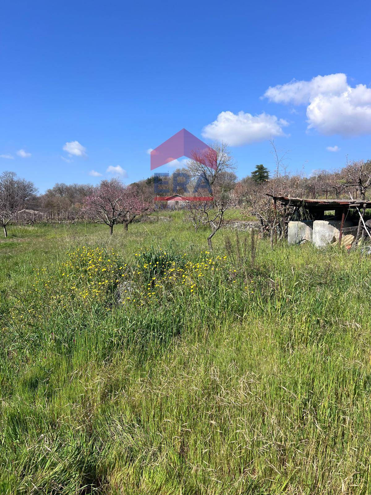 Terreno in vendita a Trecastagni