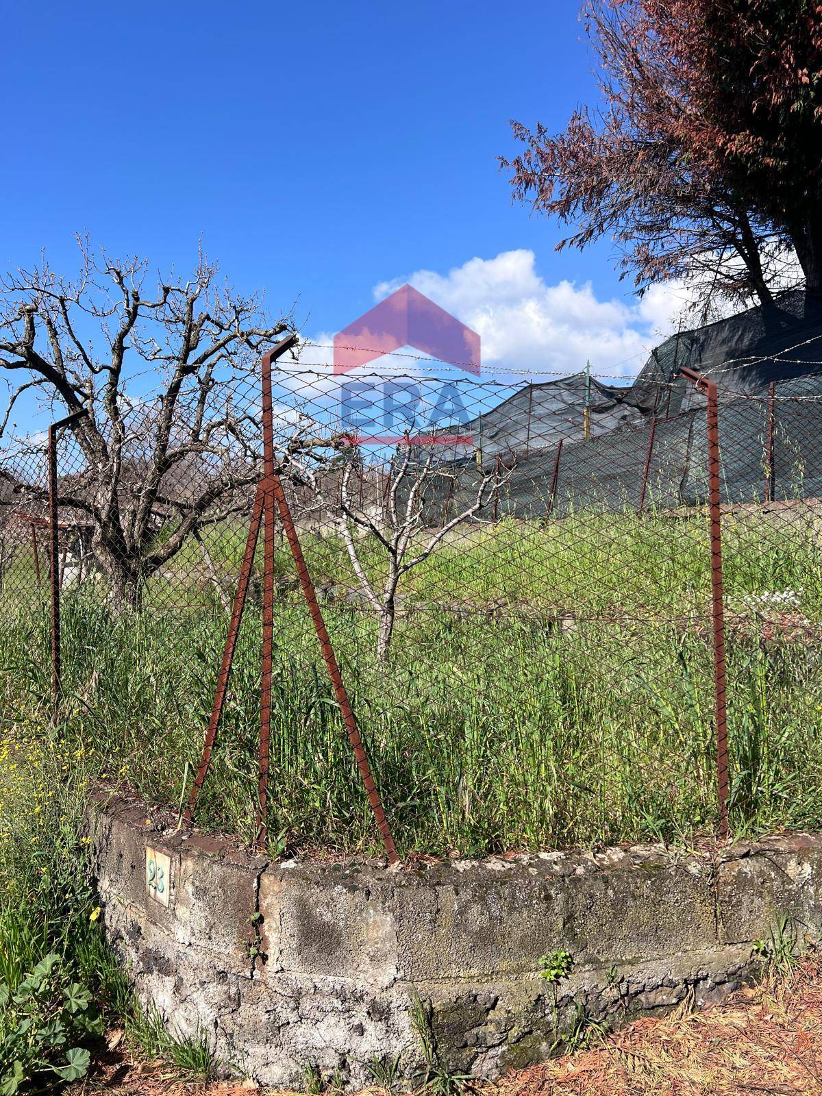 Terreno in vendita a Trecastagni