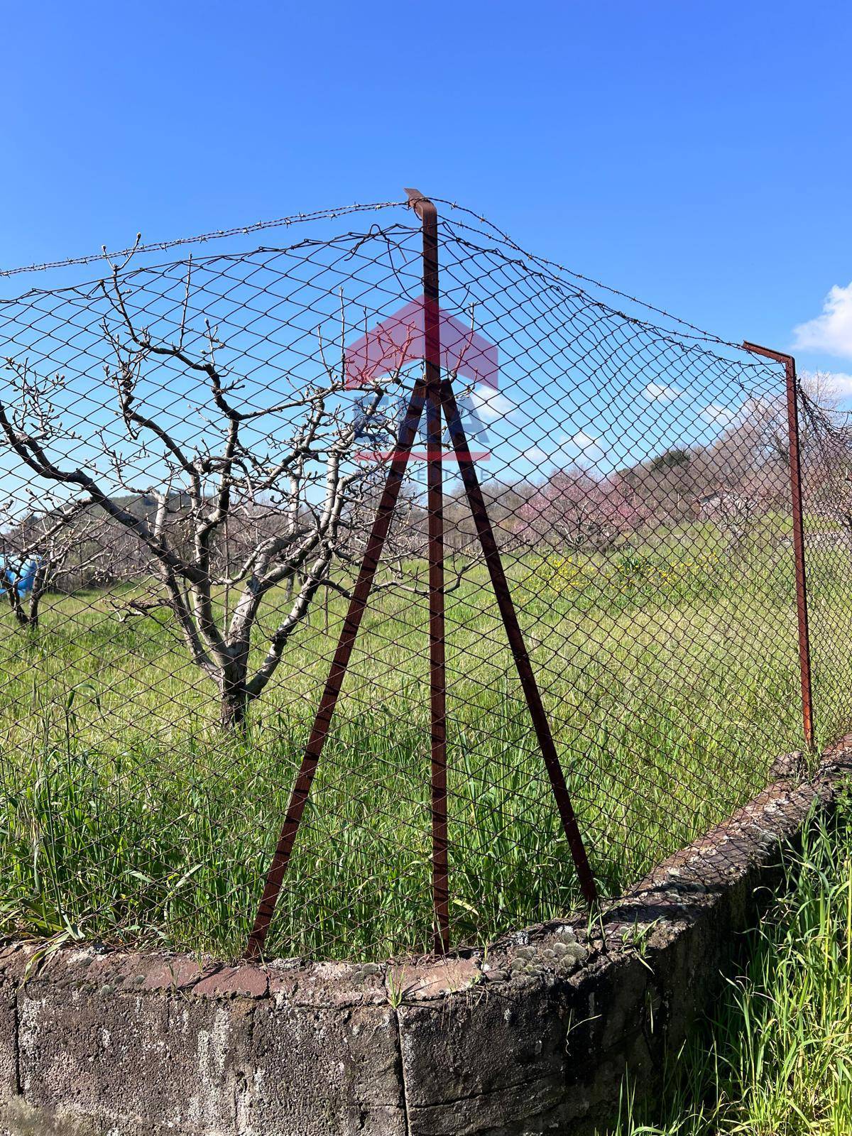 Terreno in vendita a Trecastagni