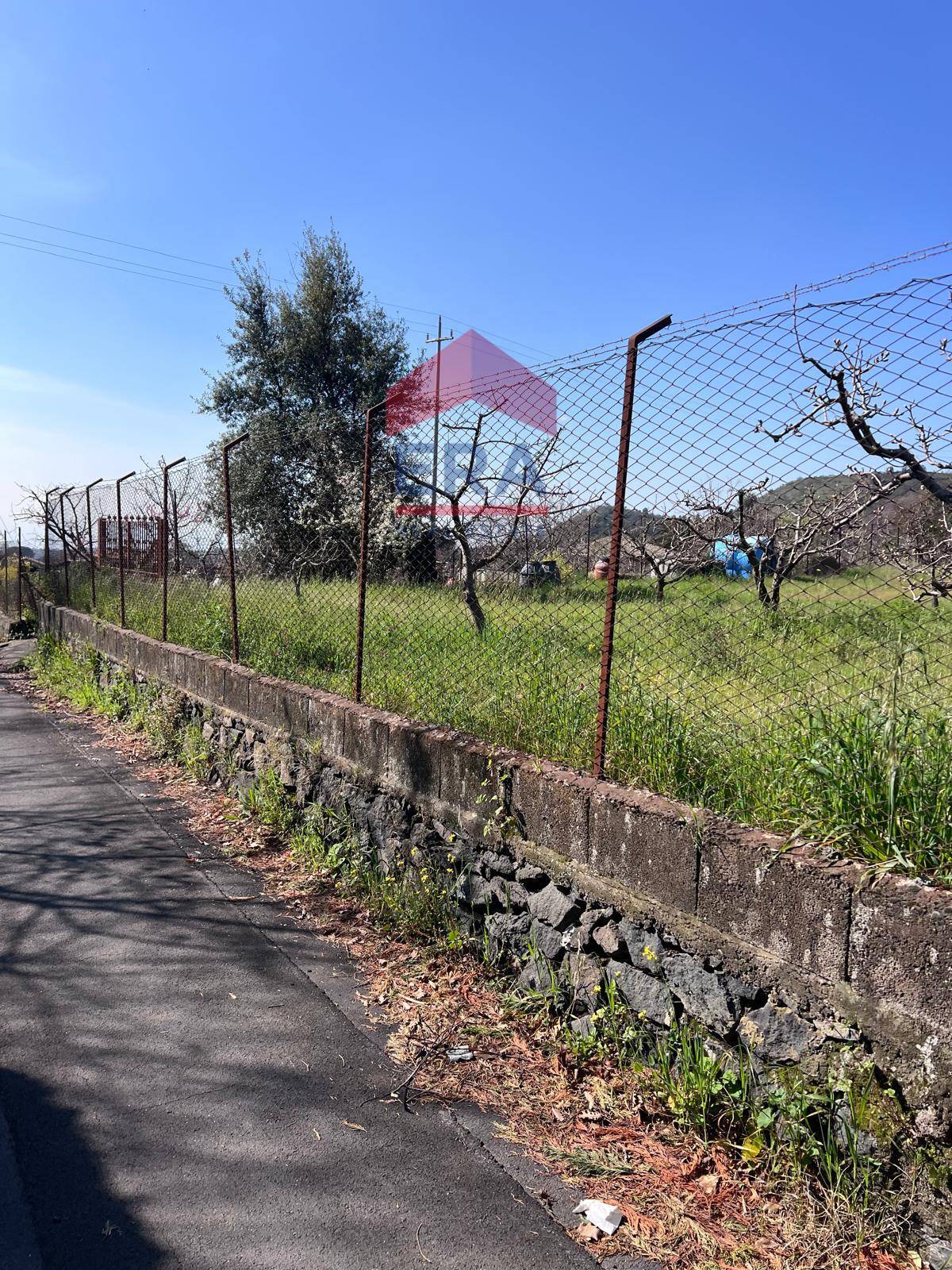 Terreno in vendita a Trecastagni