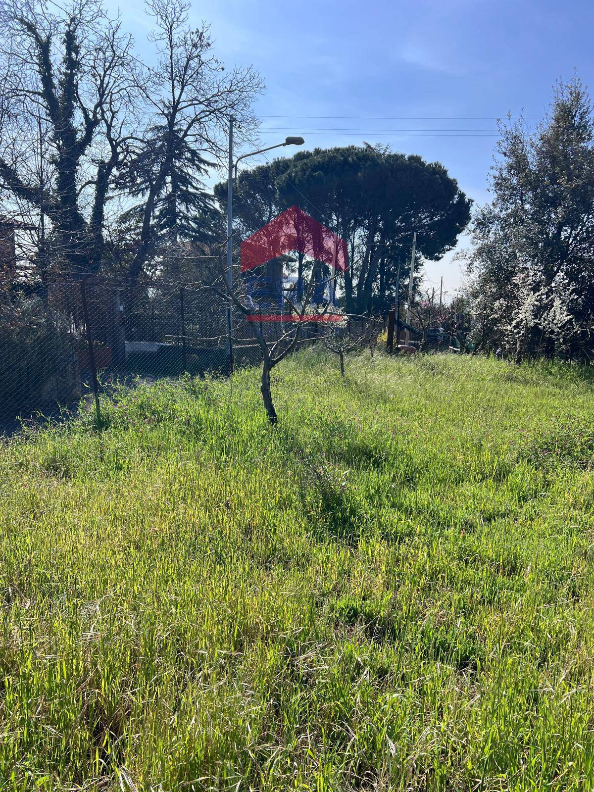 Terreno in vendita a Trecastagni