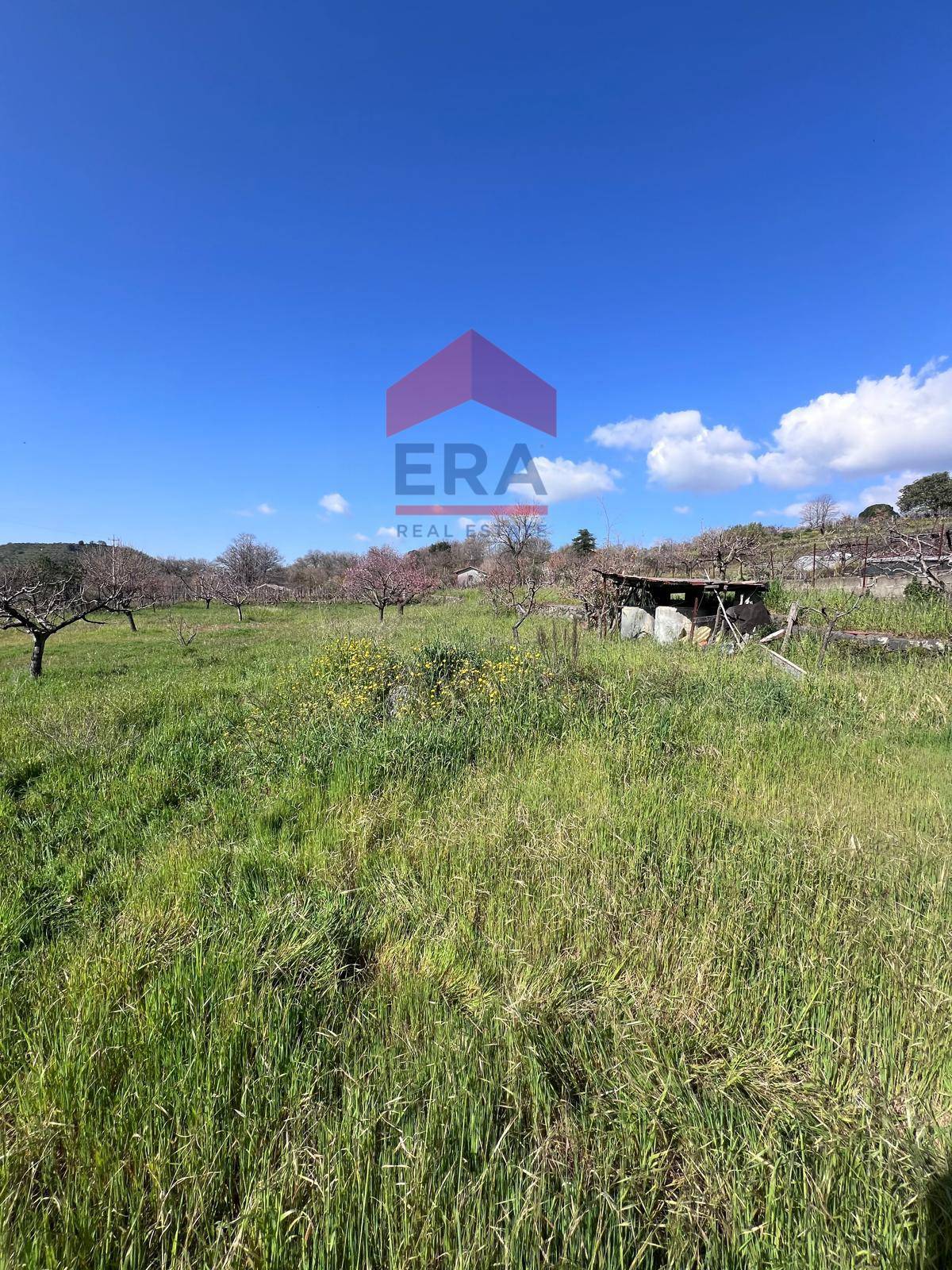 Terreno in vendita a Trecastagni