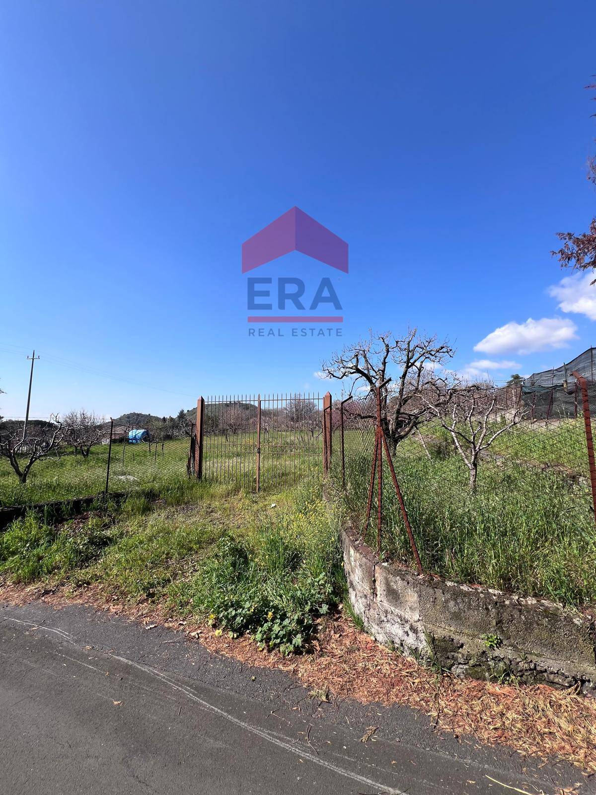 Terreno in vendita a Trecastagni