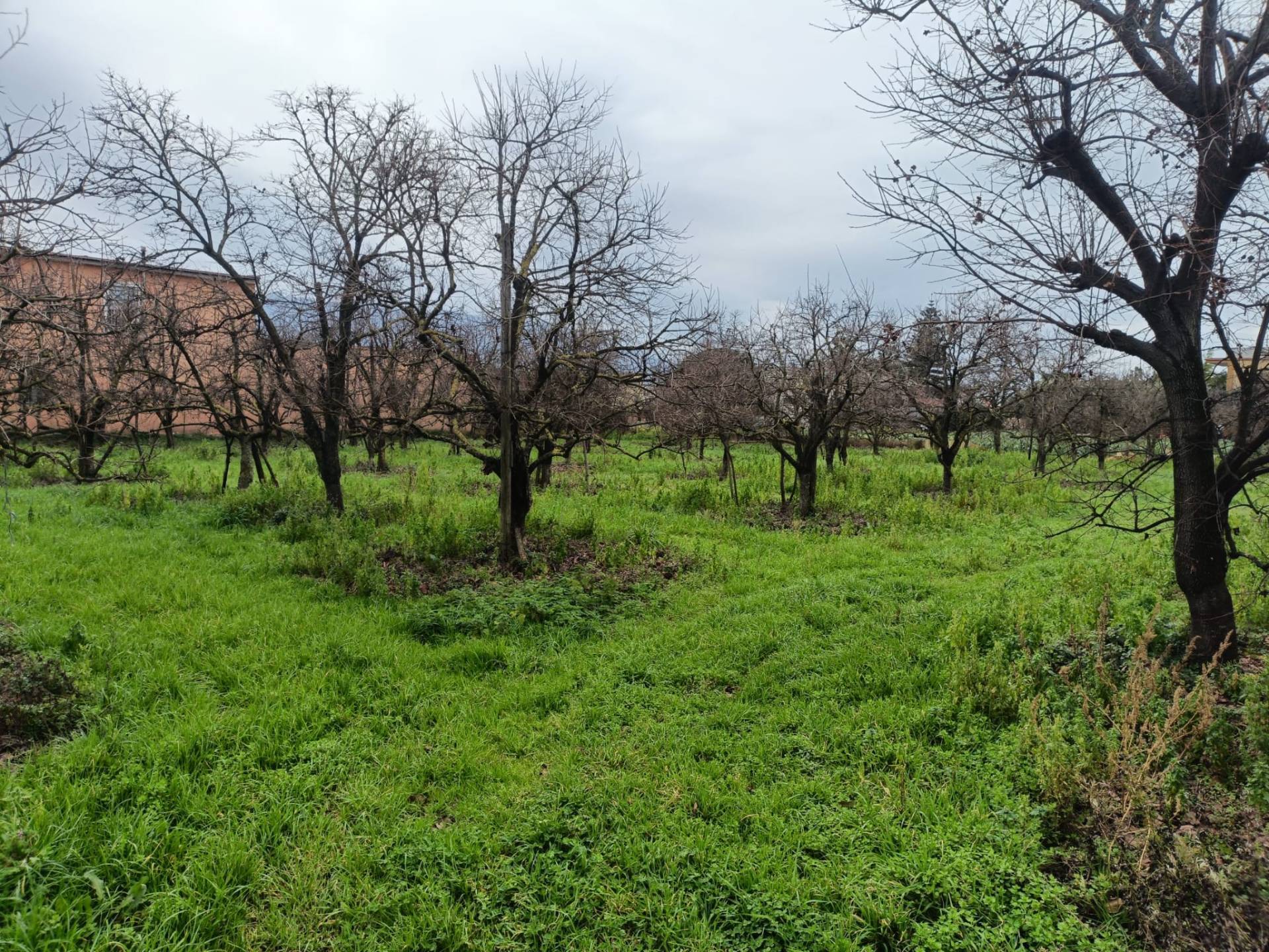 Terreno in vendita a Angri