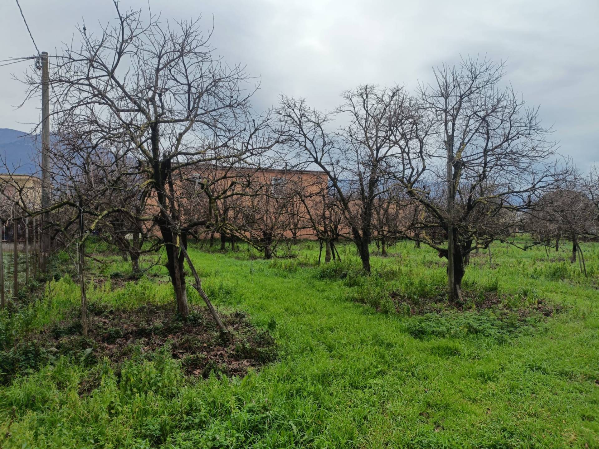 Terreno in vendita a Angri