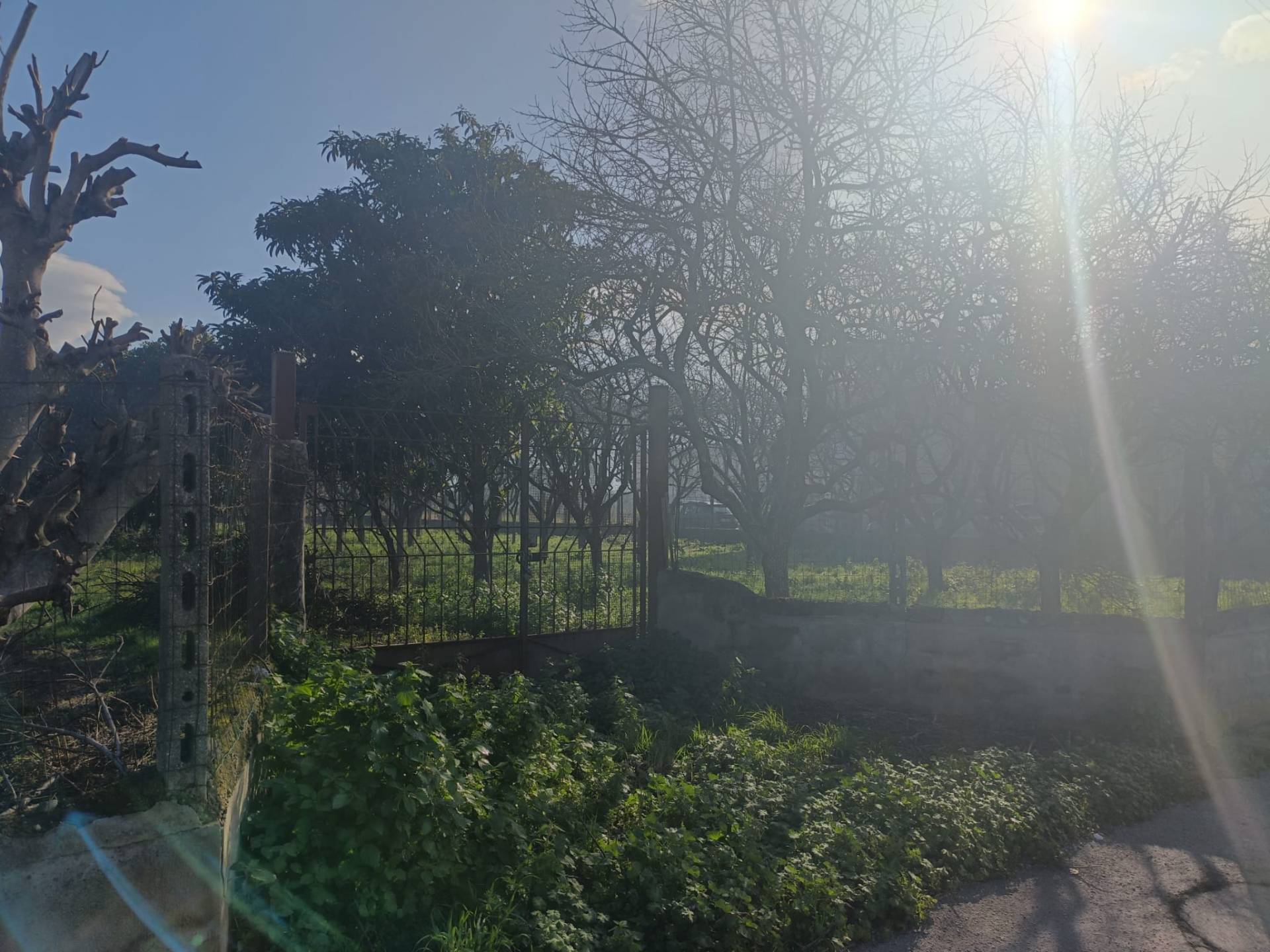 Terreno Agricolo in vendita a Scafati