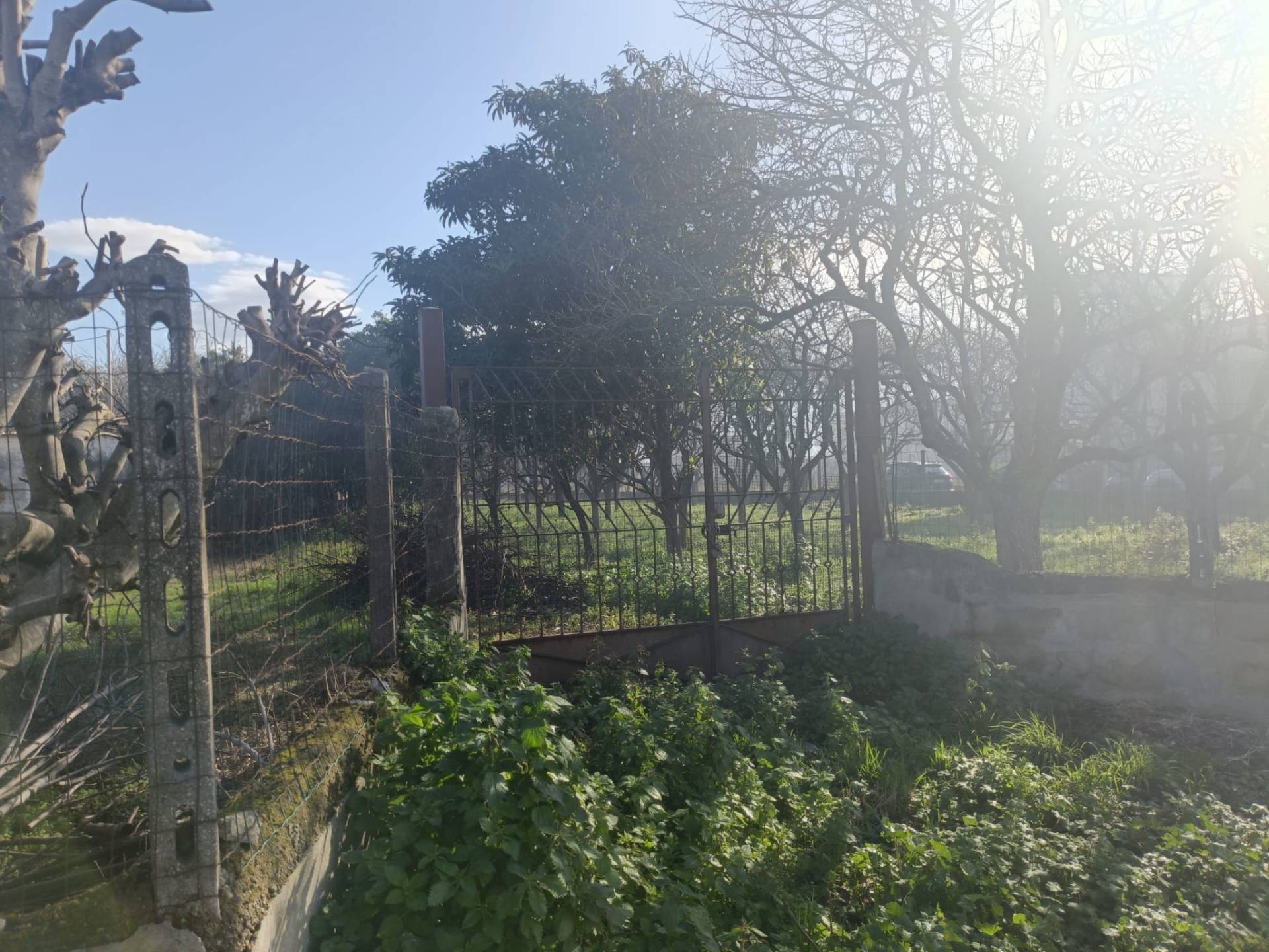 Terreno Agricolo in vendita a Scafati