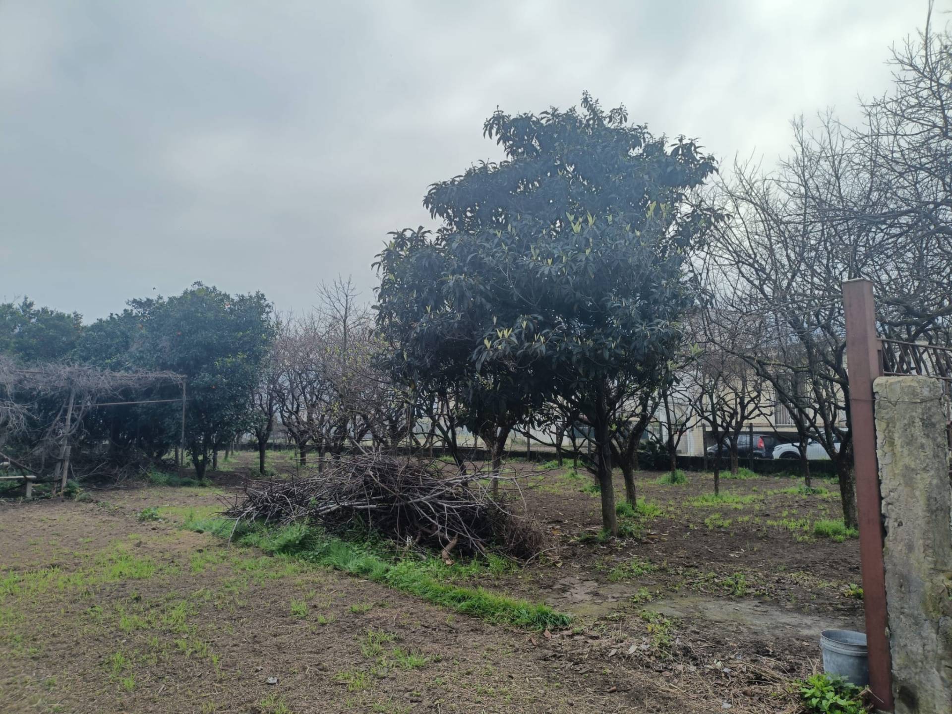 Terreno Agricolo in vendita a Scafati