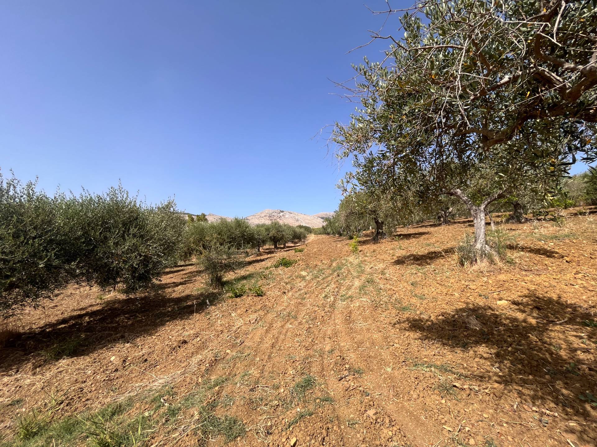 Rustico in vendita a Buseto Palizzolo