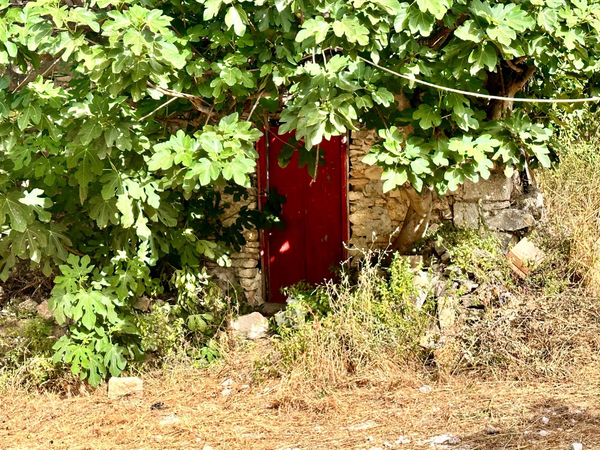 Casa Singola in vendita a Castellammare del Golfo
