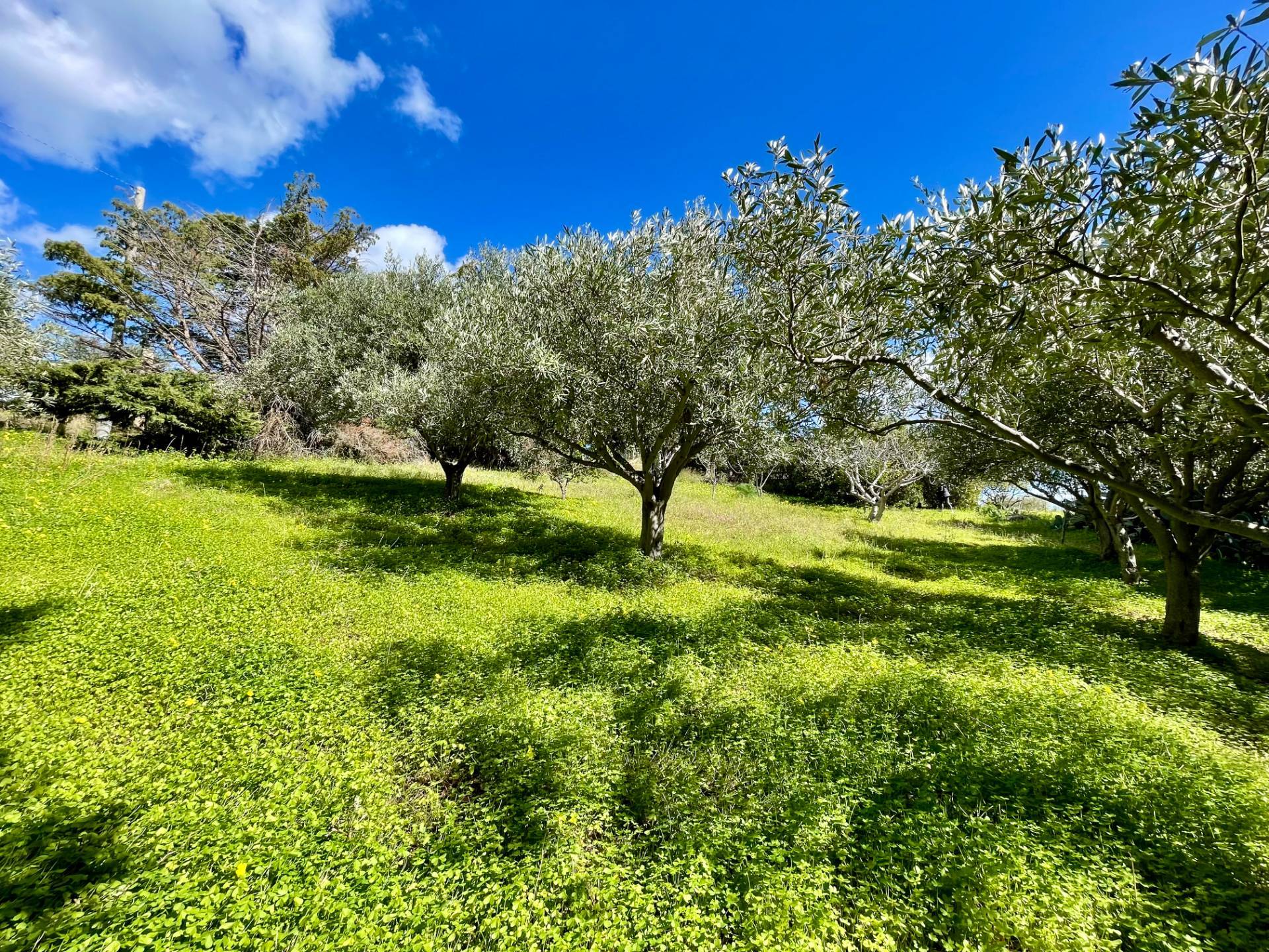 Villa in vendita a Castellammare del Golfo