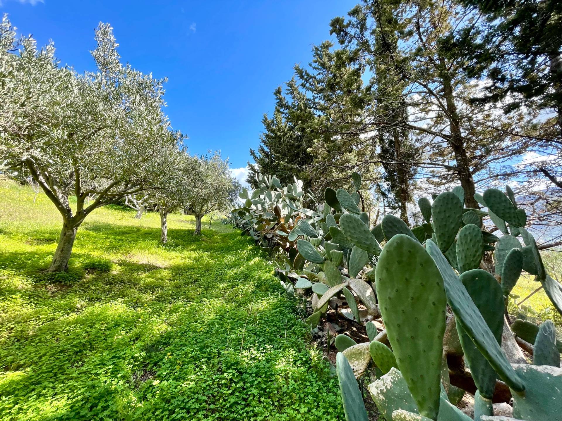 Villa in vendita a Castellammare del Golfo