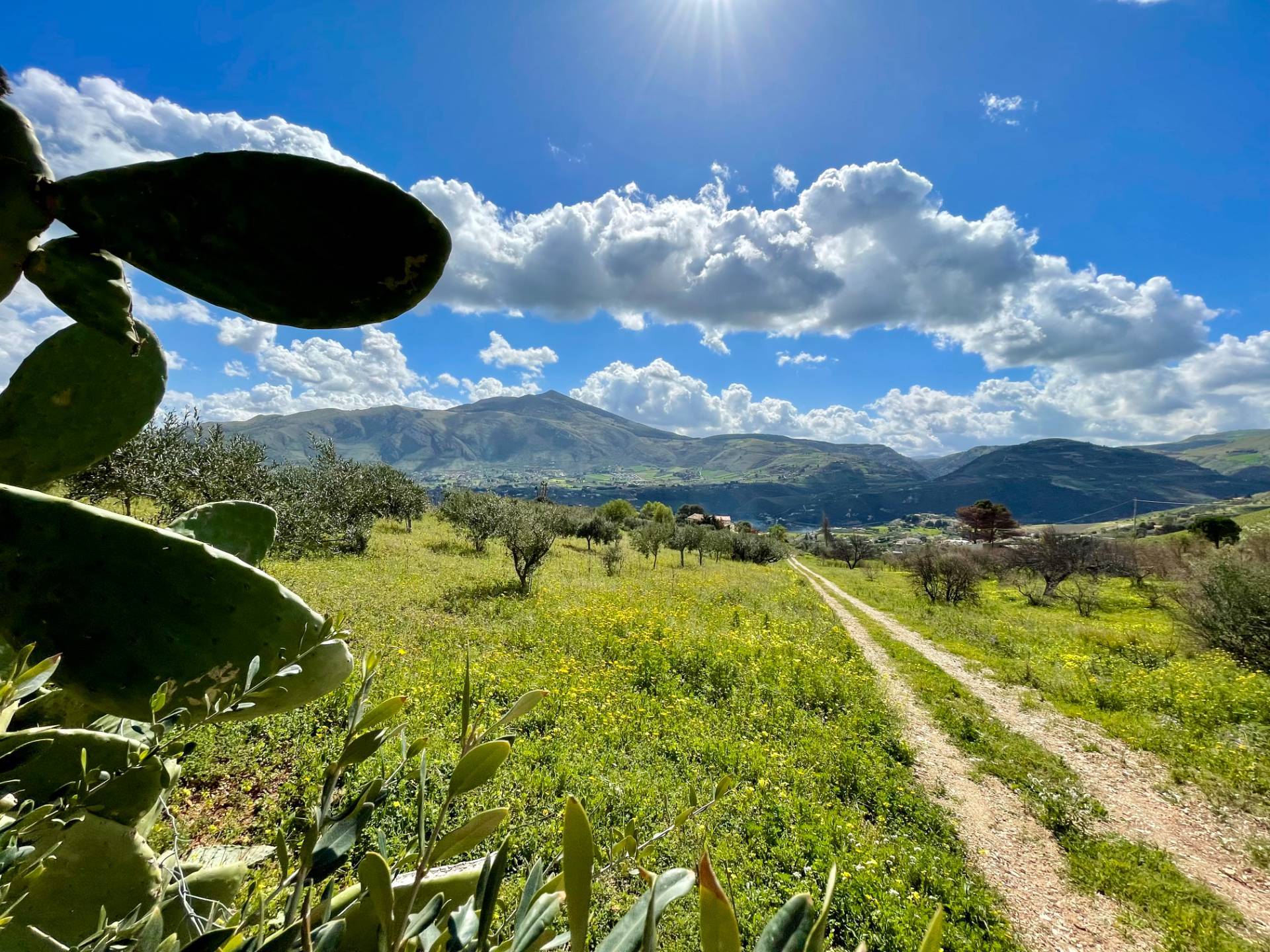 Villa in vendita a Castellammare del Golfo