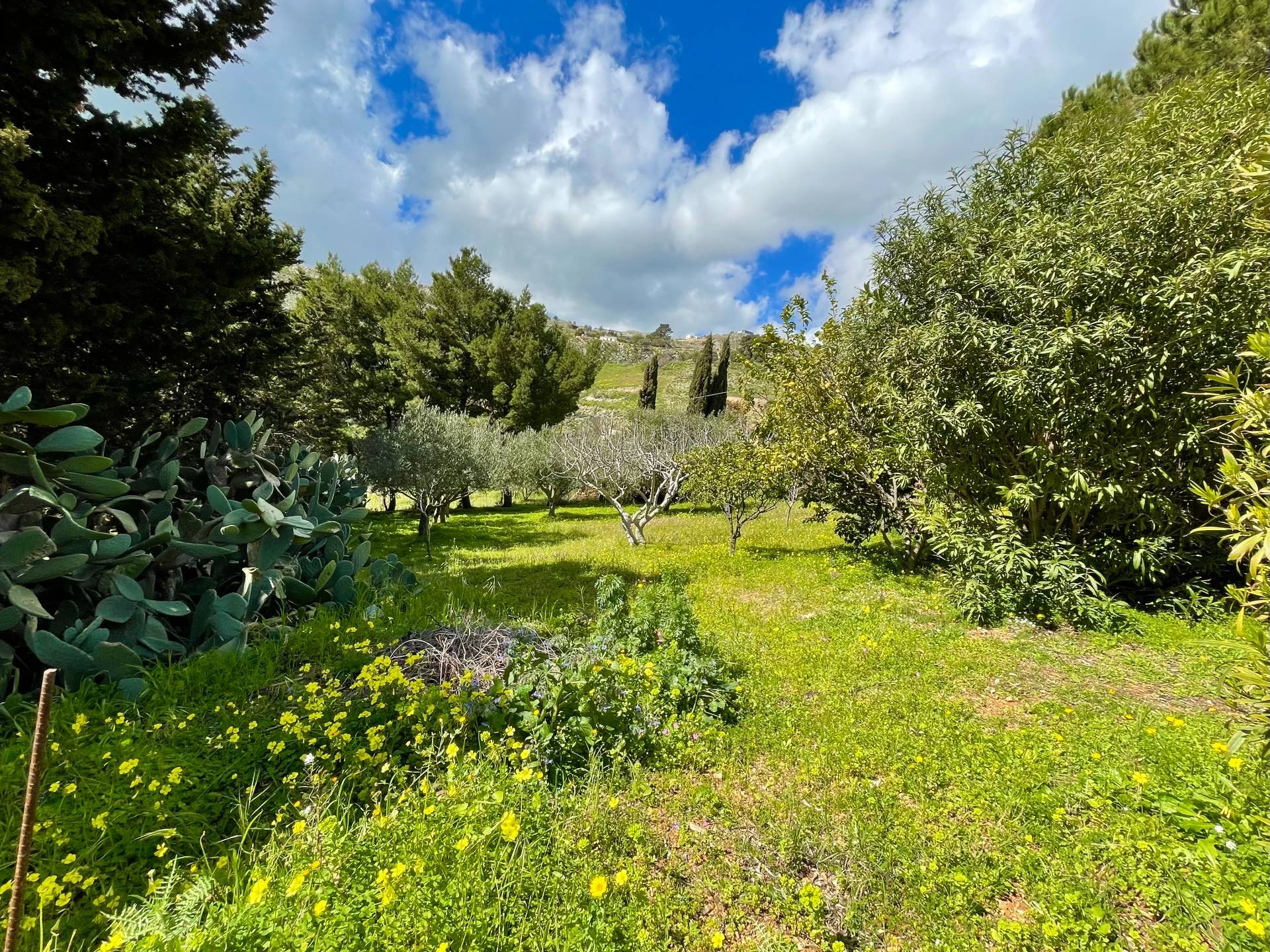 Villa in vendita a Castellammare del Golfo