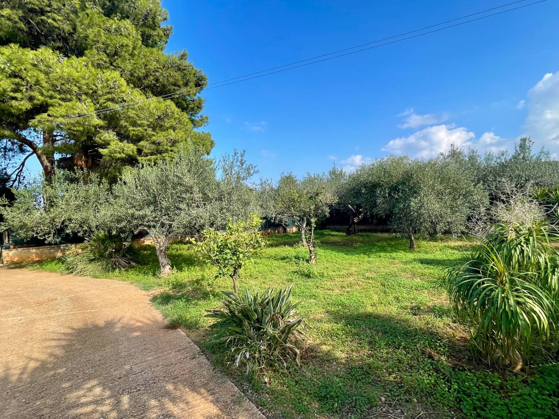 Villa in vendita a Castellammare del Golfo