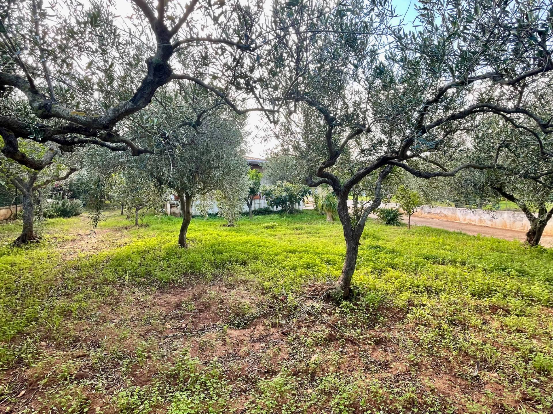 Villa in vendita a Castellammare del Golfo