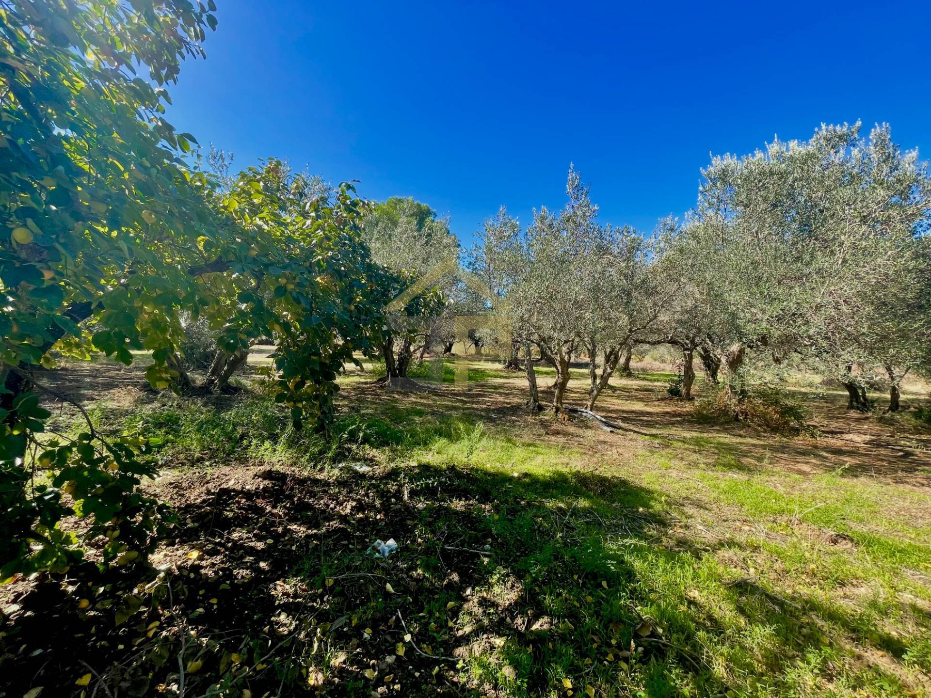Rustico in vendita a Castellammare del Golfo, Fraginesi