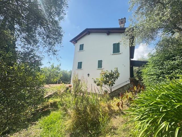 Villa con giardino, Pietrasanta pontearanci