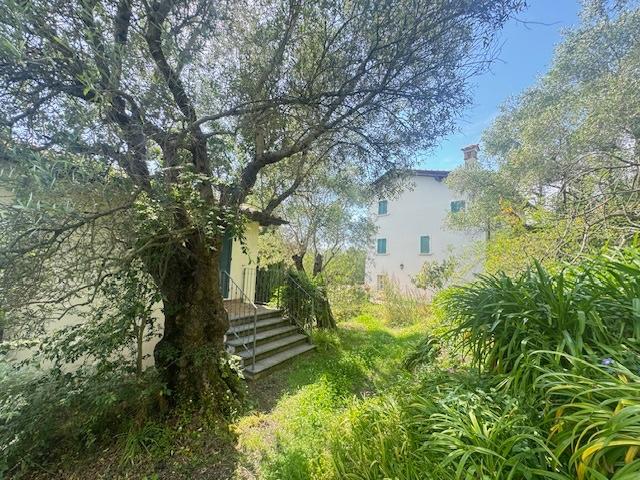 Villa con giardino, Pietrasanta pontearanci