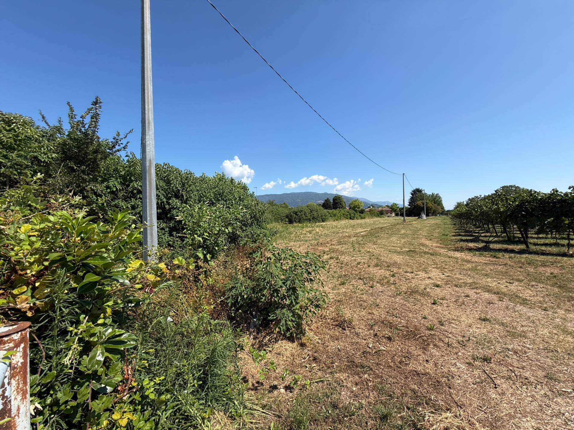 Terreno Agricolo in vendita a Godega di Sant'Urbano