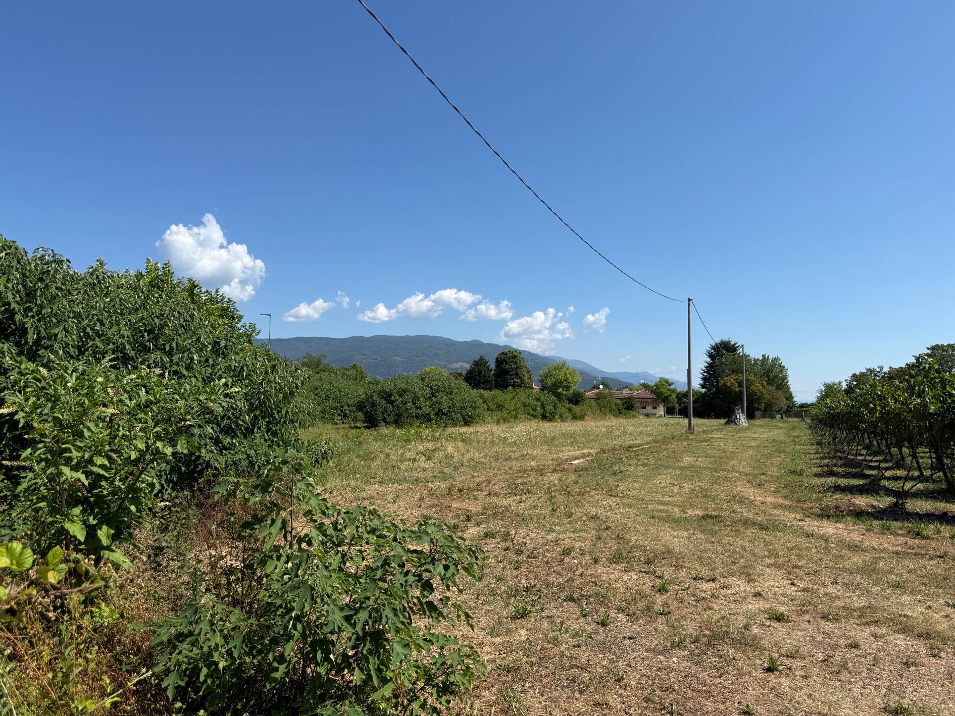 Terreno Agricolo in vendita a Godega di Sant'Urbano