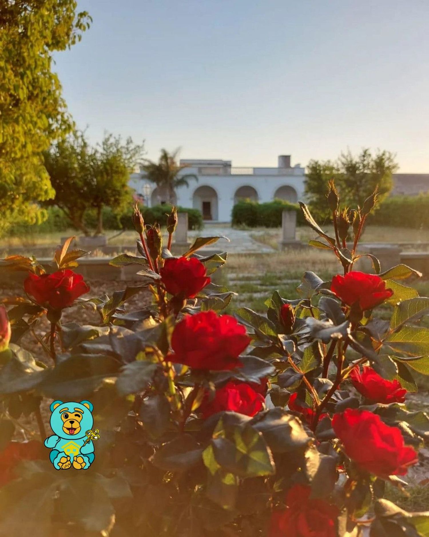 Villa con giardino a Novoli