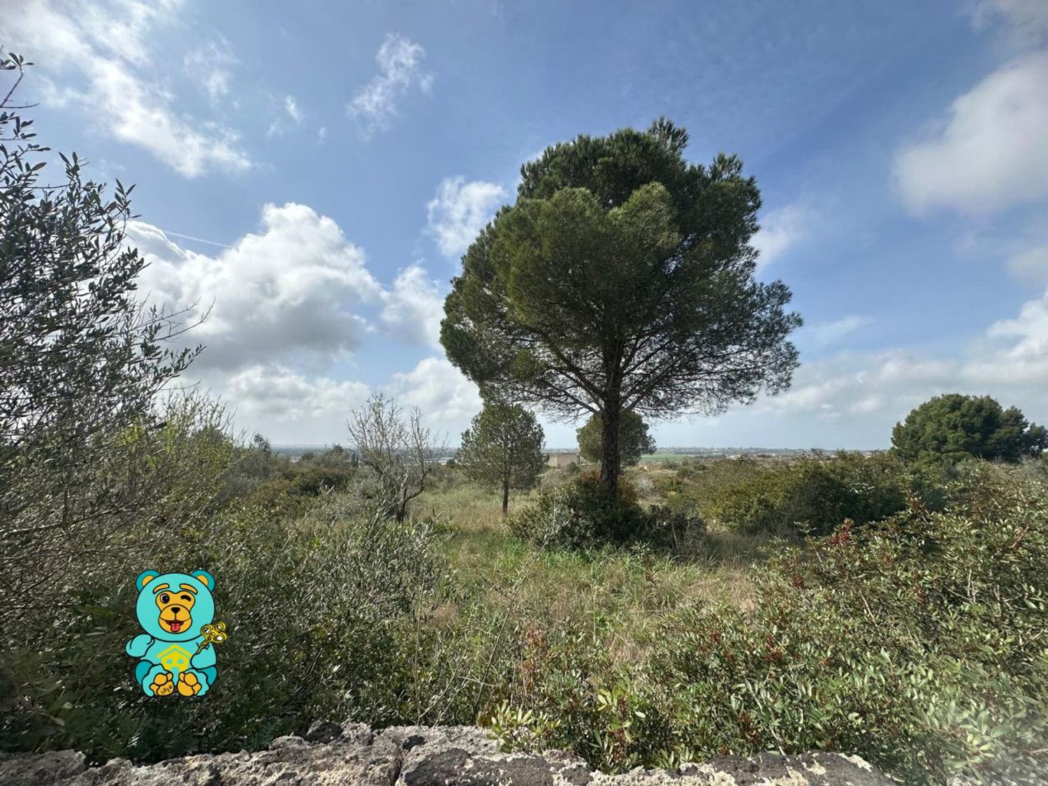 Terreno Edificabile in vendita a Parabita