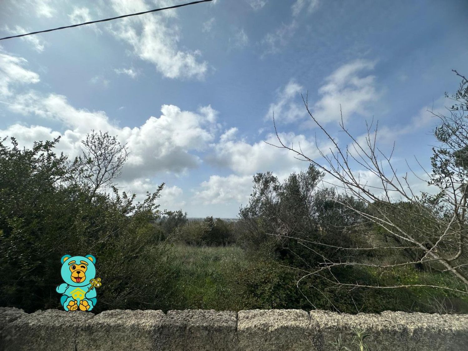 Terreno Edificabile in vendita a Parabita