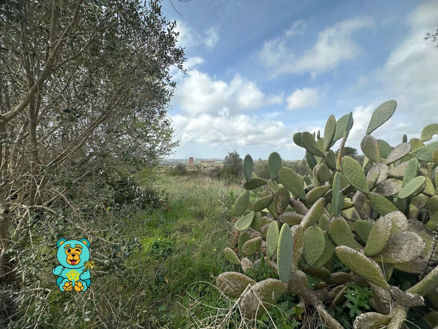 Terreno Edificabile in vendita a Parabita