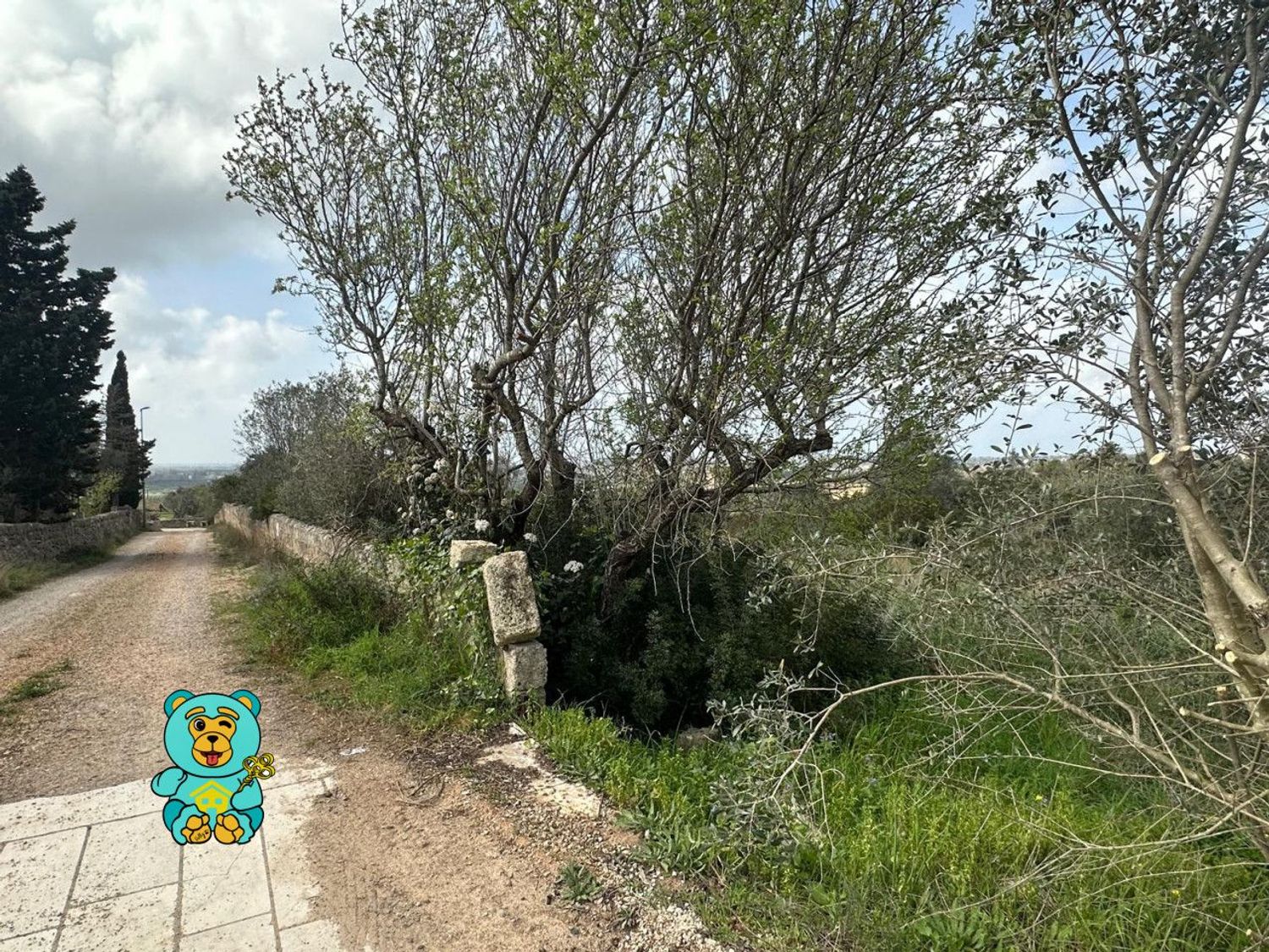 Terreno Edificabile in vendita a Parabita