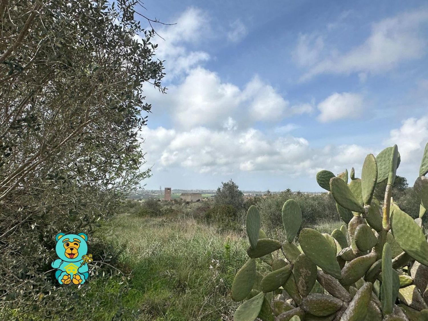 Terreno Edificabile in vendita a Parabita