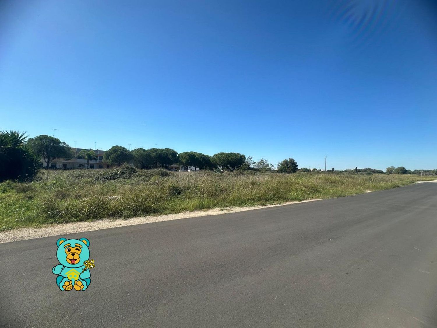 Terreno Edificabile in vendita a Cavallino