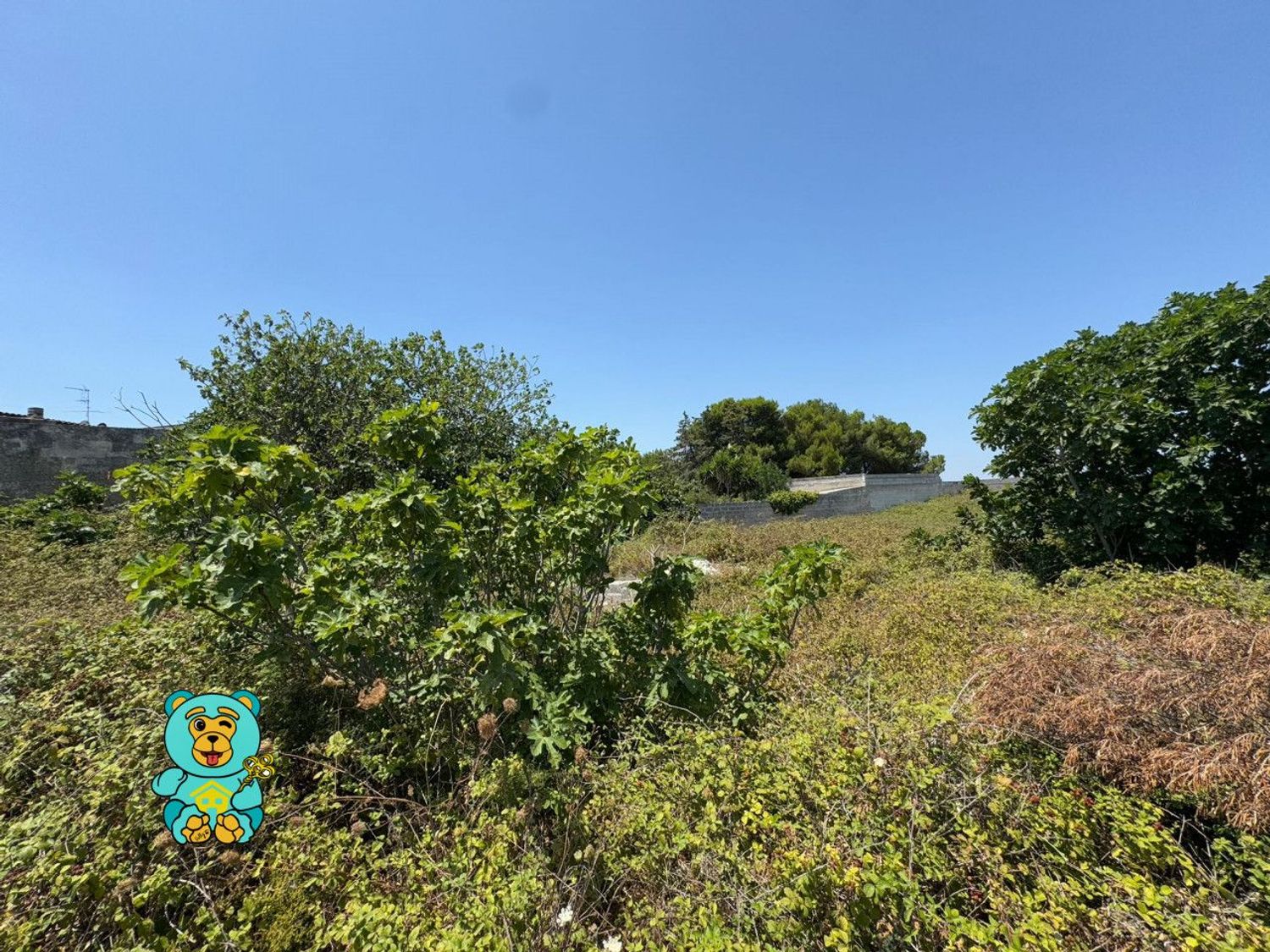 Rustico con giardino, Lizzanello merine