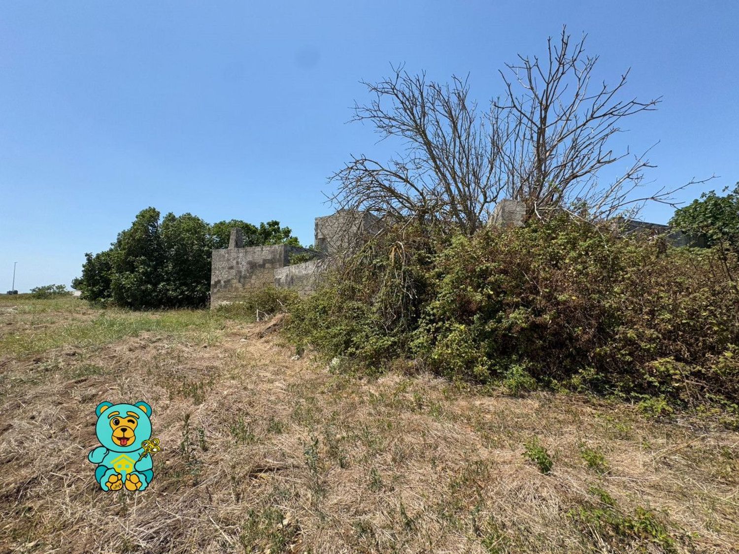 Rustico con giardino, Lizzanello merine