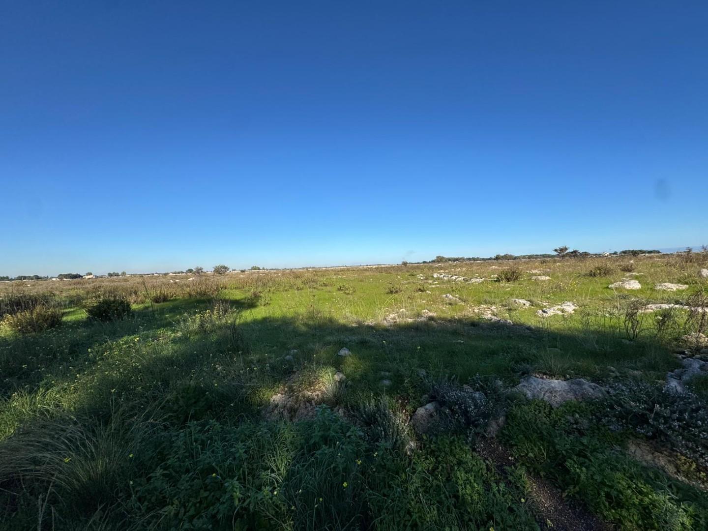 Terreno Industriale in vendita, Lecce zona stadio