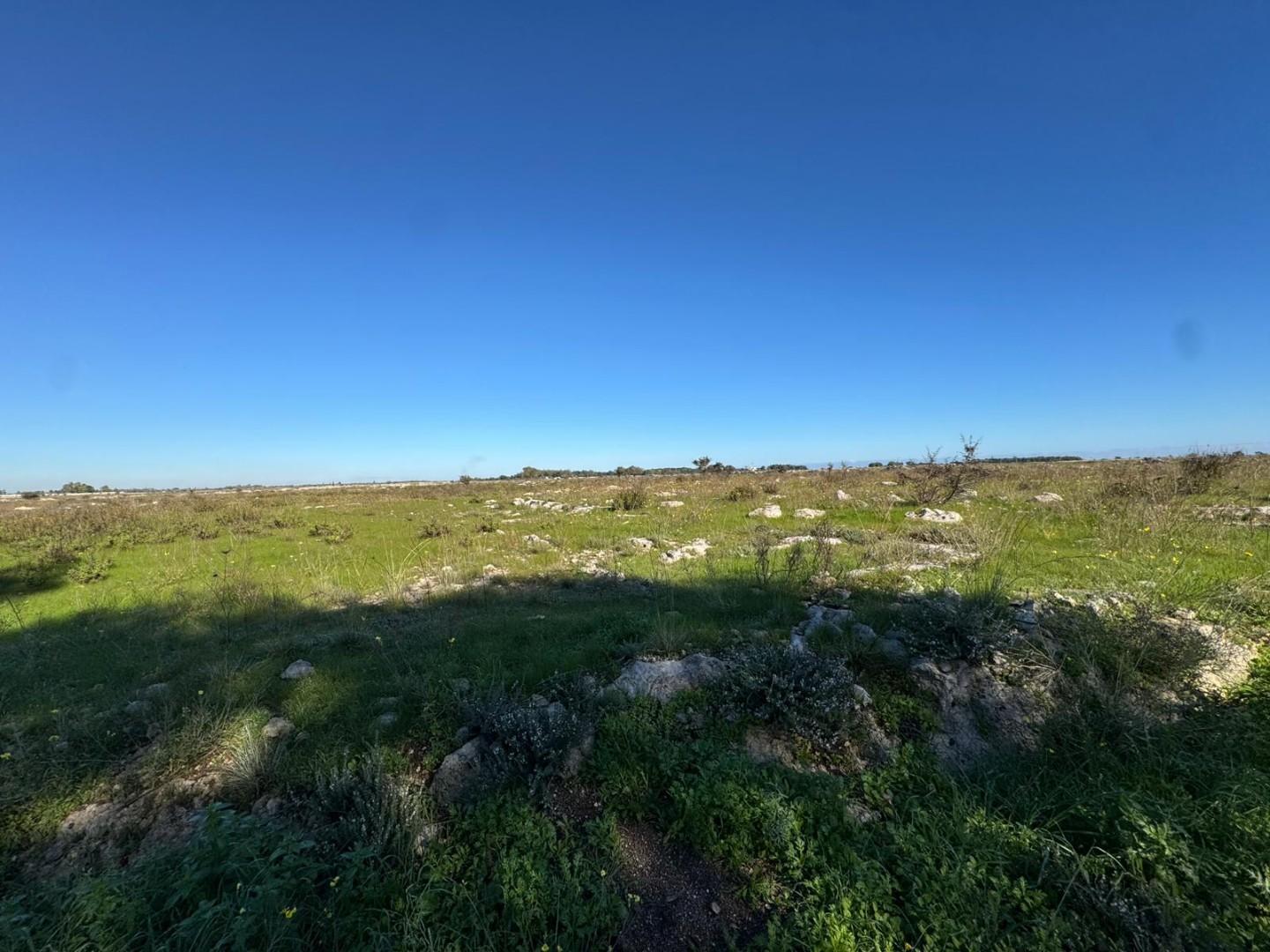 Terreno Industriale in vendita, Lecce zona stadio