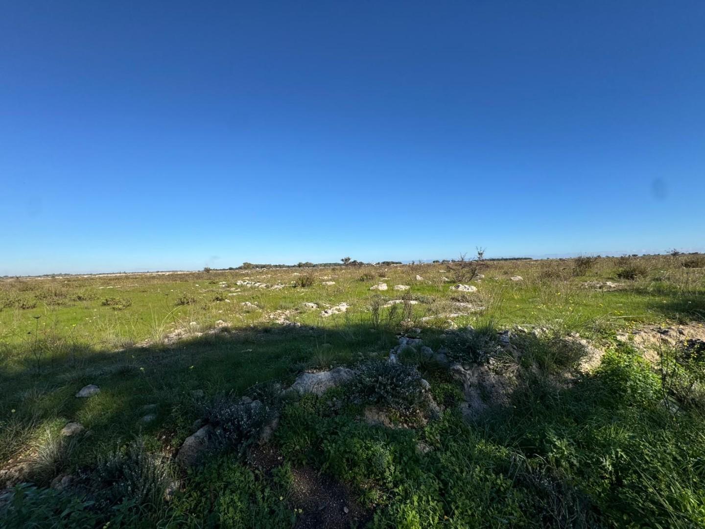 Terreno Industriale in vendita, Lecce zona stadio