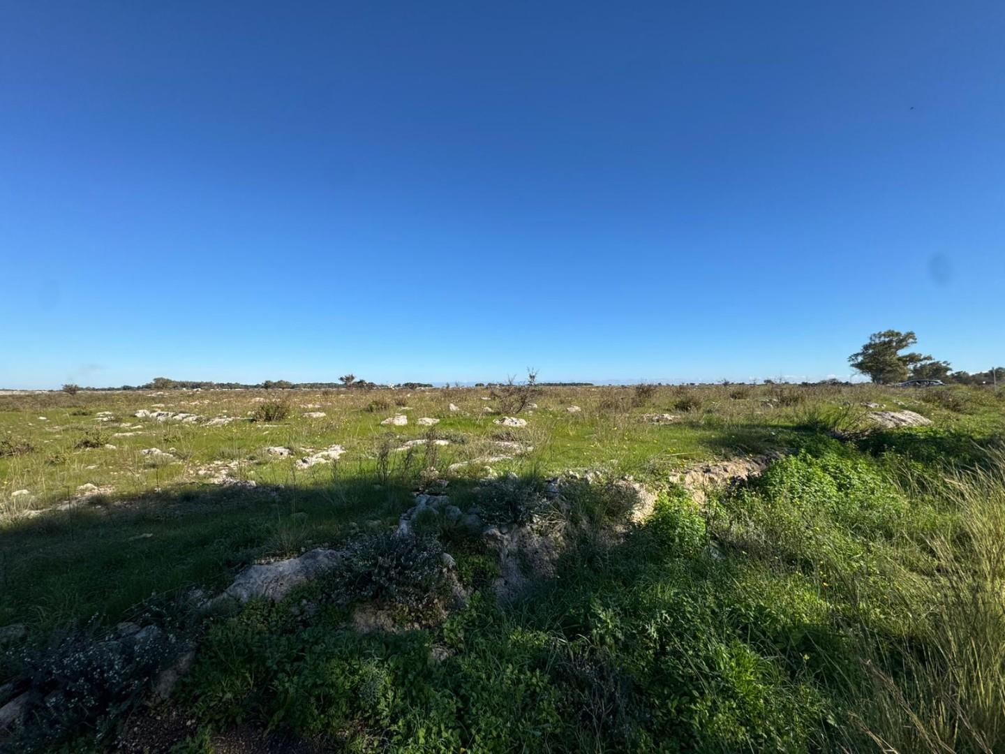 Terreno Industriale in vendita, Lecce zona stadio
