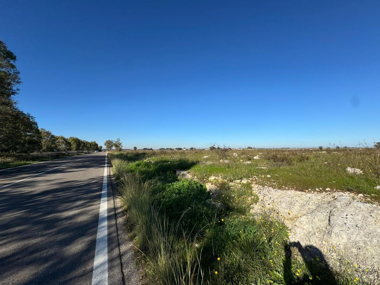 Terreno Industriale in vendita, Lecce zona stadio