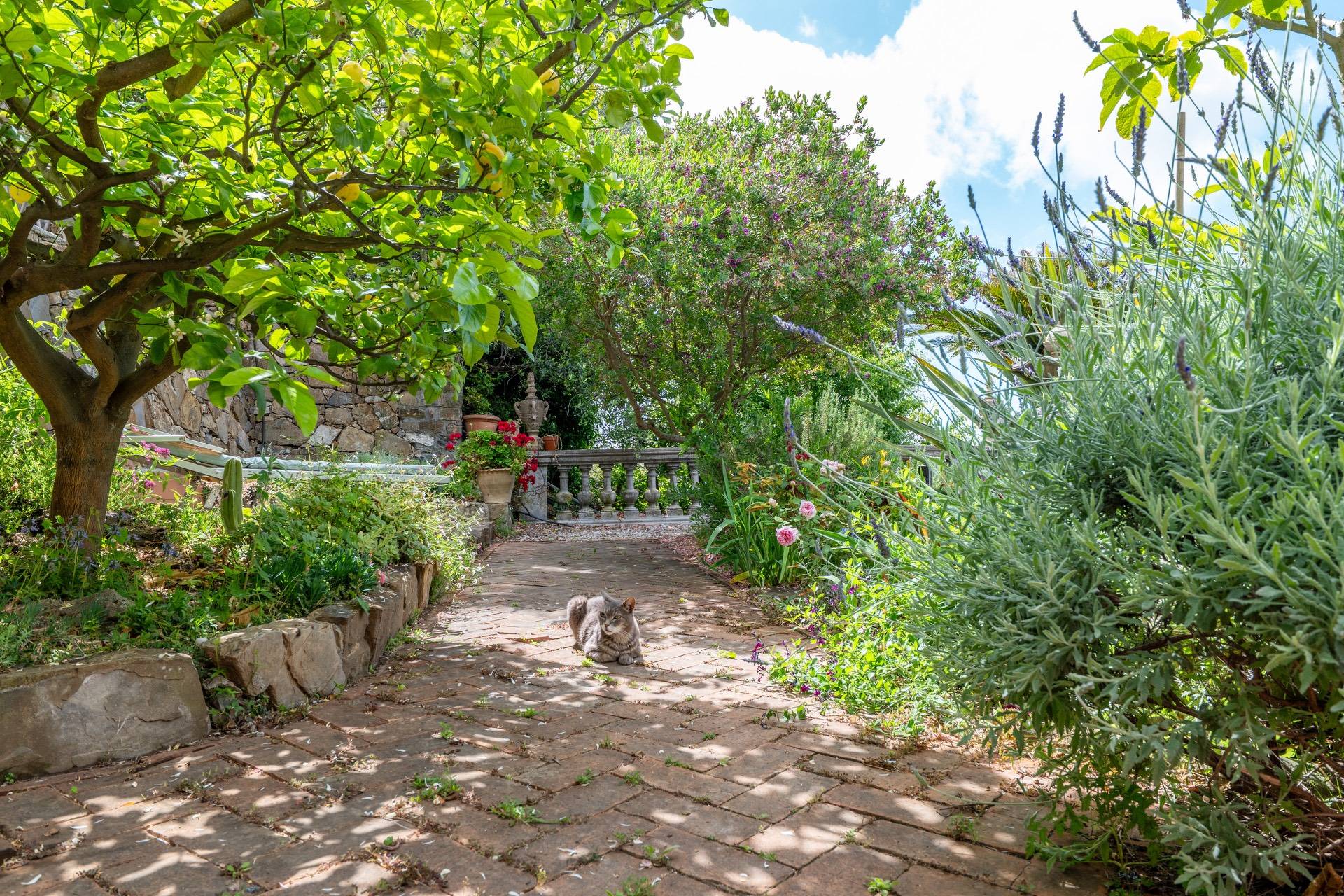 Villa quadrifamiliare in vendita a Sanremo