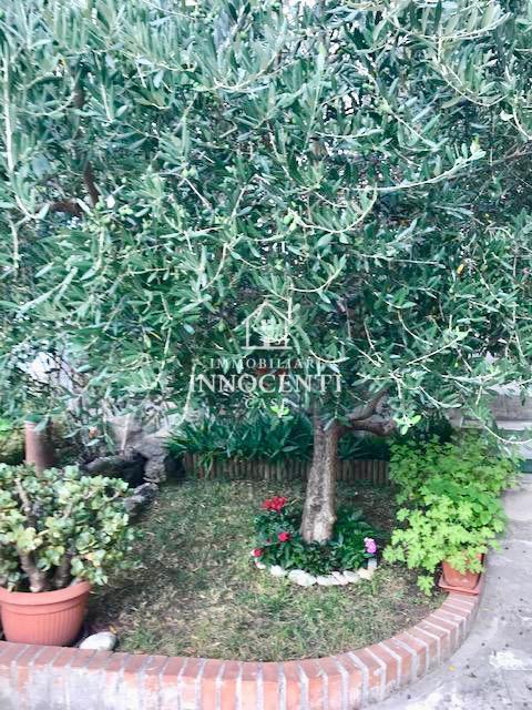 Casa indipendente con giardino a Massa