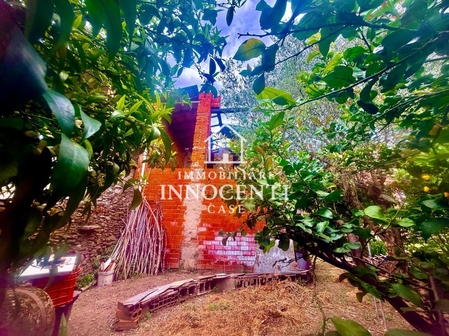 Casa indipendente con giardino, Massa ortola