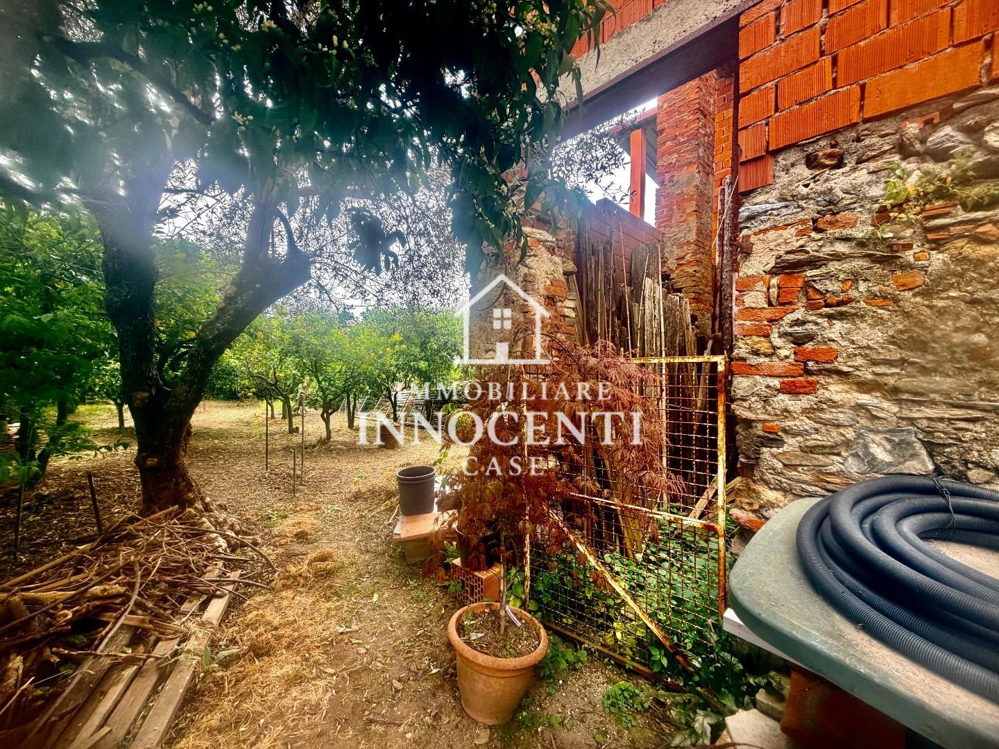 Casa indipendente con giardino, Massa ortola