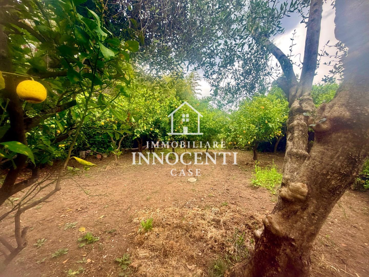 Casa indipendente con giardino, Massa ortola