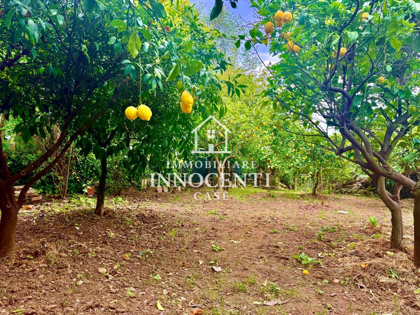 Casa indipendente con giardino, Massa ortola