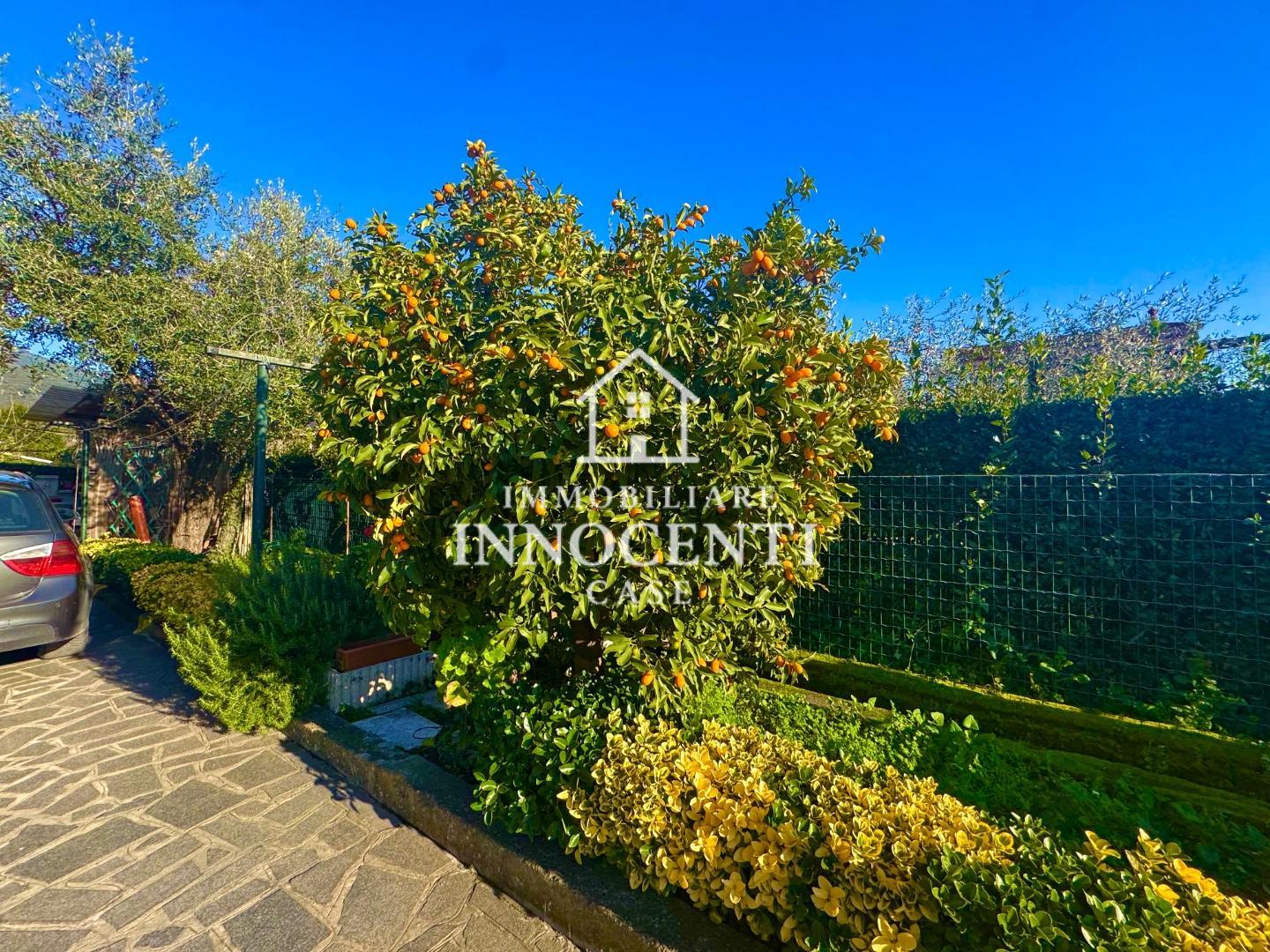 Villa Bifamiliare con terrazzo, Massa romagnano