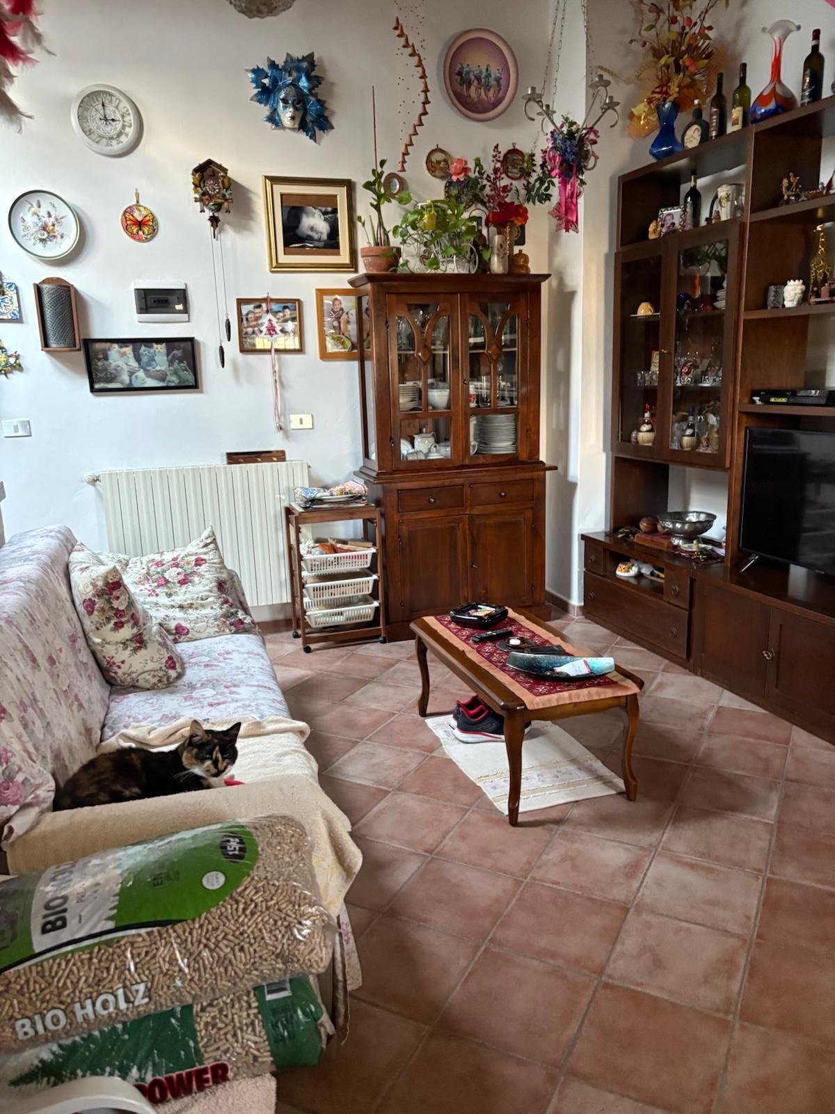 Casa indipendente con giardino, Collesalvetti vicarello